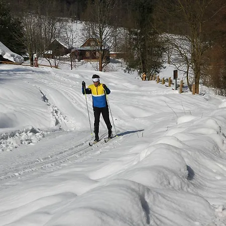 Galik 호텔 Velké Karlovice